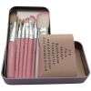 Cartoon Iron Box Makeup Brush Set of 7 Soft Hair Makeup Tool Brushes